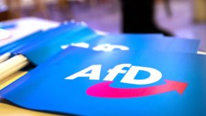 Umfrage: Forsa: 14 Prozent der Unter-30-Jährigen würden AfD wählen